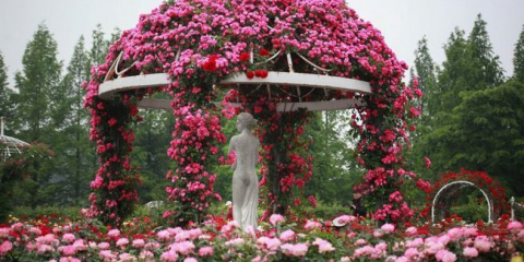 Кръгла беседка за лятна резиденция: как да го направите сами